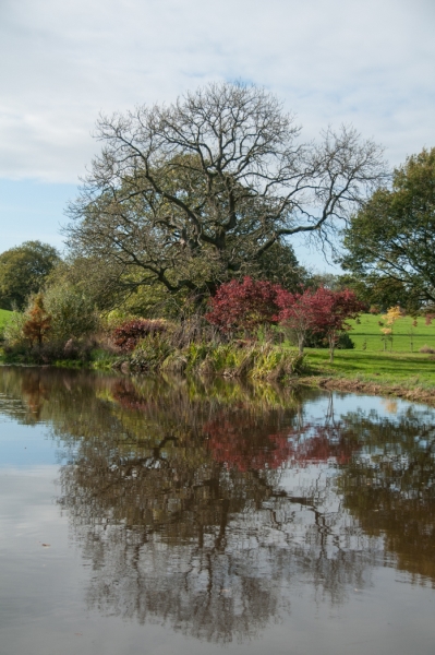 Cherry Tree Arboretum